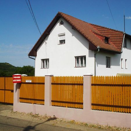 Podgoria Guesthouse- Camere De Inchiriat Oradea Exteriér fotografie