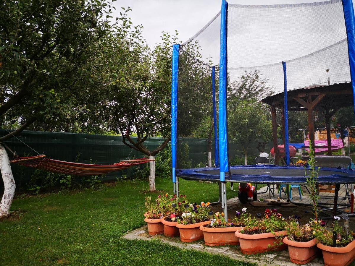 Podgoria Guesthouse- Camere De Inchiriat Oradea Exteriér fotografie