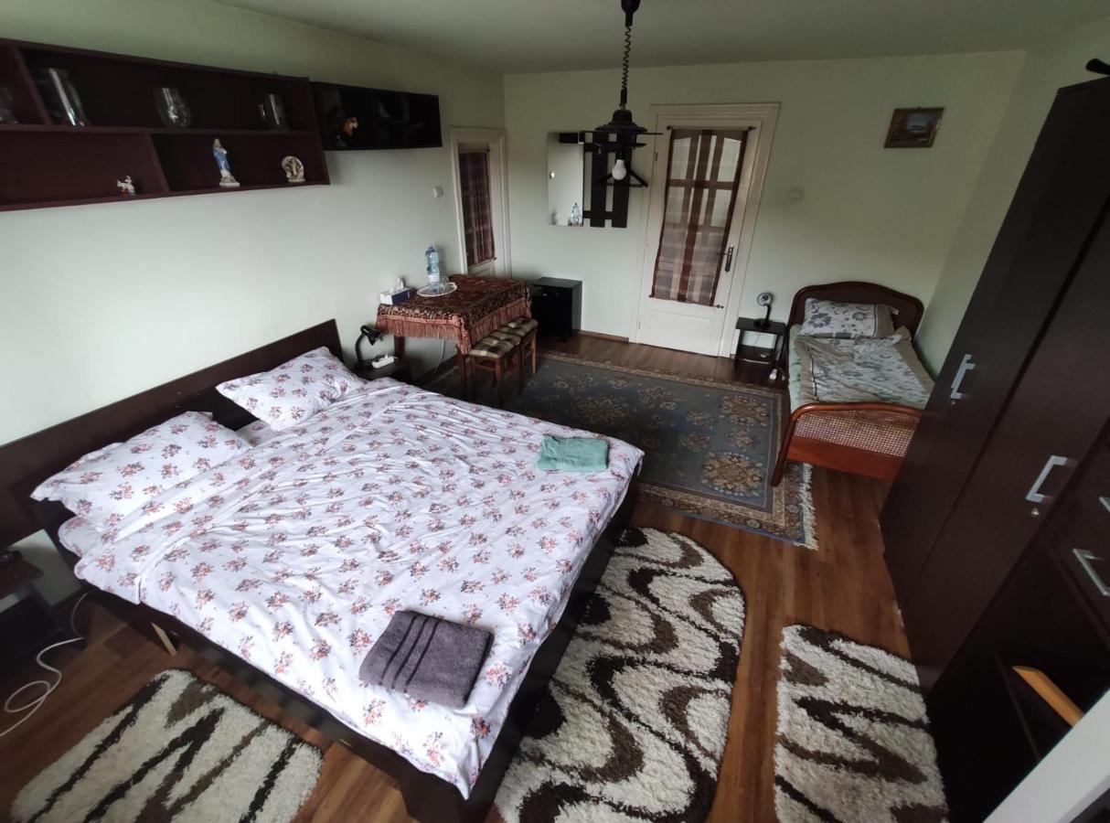 Podgoria Guesthouse- Camere De Inchiriat Oradea Exteriér fotografie