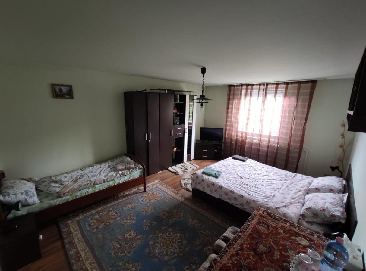 Podgoria Guesthouse- Camere De Inchiriat Oradea Exteriér fotografie